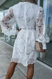 Wjczt  Sexy Celebrities Solid Lace Embroidered V Neck A Line Dresses(3 Colors)