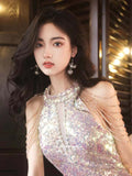 pink dress Banquet Host Evening Dress 2024 New Style Style Birthday Party Socialite Elegant French Light Luxury Fishtail