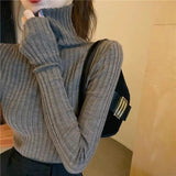 outfit ideas winter Autumn and Winter Elegant Pile Collar Sweater Women's Inner Matching Coat Slim Bottoming Pullover Turtleneck Sweater Top