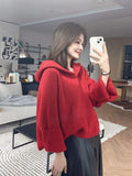 Wjczt Korean style Long Sleeve Sweater Autumn Winter New Hooede Womens Clothing Pullover Tops Warm Fashion Women Knitwears