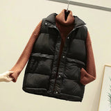 Wjczt 2022 Women Sleeveless Vest Winter Warm Plus Size 2XL Down Cotton Padded Jacket Female Veats Mandarin Collar Sleeveless Waistcoat