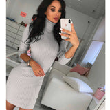 Wjczt 2022 Autumn Winter Fashion Turtleneck Women&#39;s Mini Package Hip Dress Casual Bodycon Solid  Long Sleeve Ladies Knit Dress