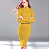 Wjczt New Autumn Winter Women Knitted Dress Turtleneck Sweater Dresses Lady Slim Bodycon Long Sleeve Bottoming Dress Vestidos PP003