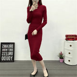 Wjczt New Autumn Winter Women Knitted Dress Turtleneck Sweater Dresses Lady Slim Bodycon Long Sleeve Bottoming Dress Vestidos PP003